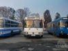 ЛАЗ-4202, ЛАЗ-52528, ЛАЗ-52523 (зліва направо) (07.02.2016)